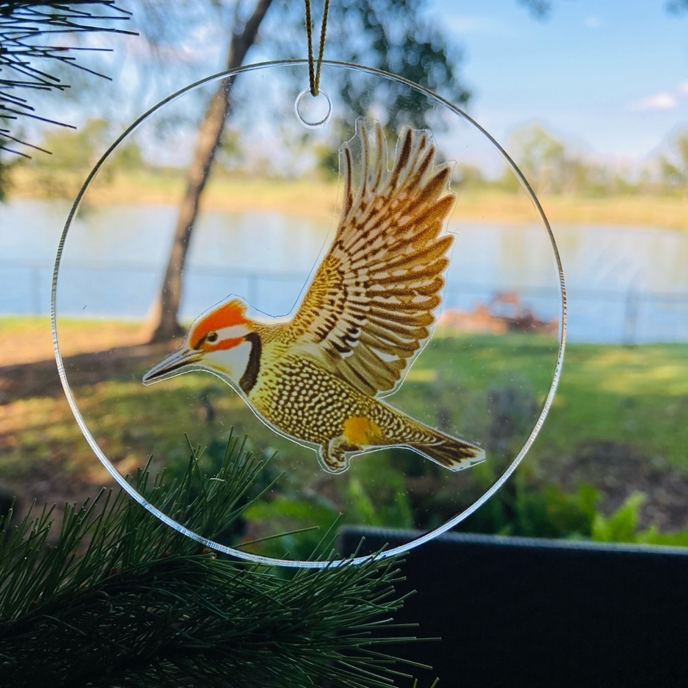 Woodpecker Holiday Christmas Ornament acrylic bird watcher
